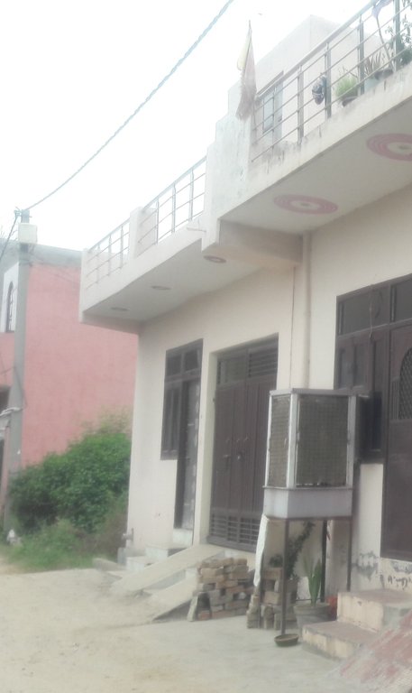 sunny dev 5 Elevation