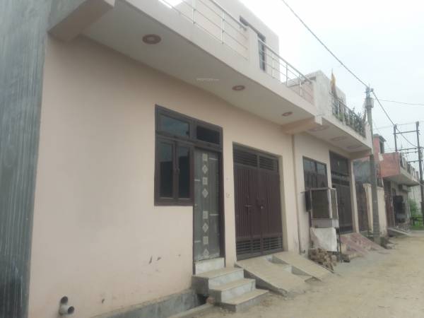  sunny-dev-5 Elevation