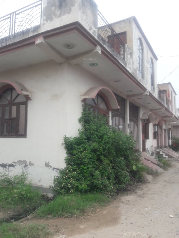 sunny dev 2 Elevation