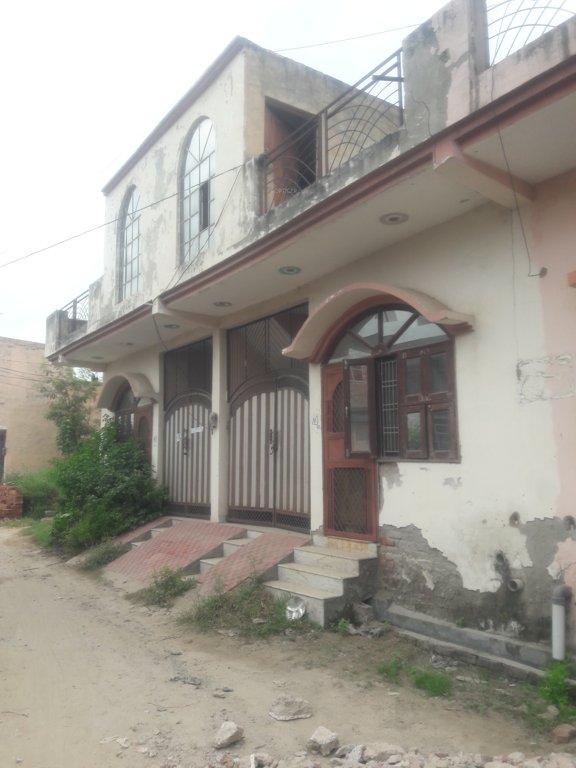 sunny dev 2 Elevation