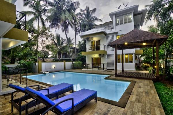  rainforest-enclave Others