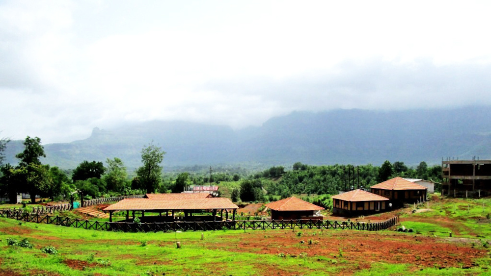  elegant elanza Others