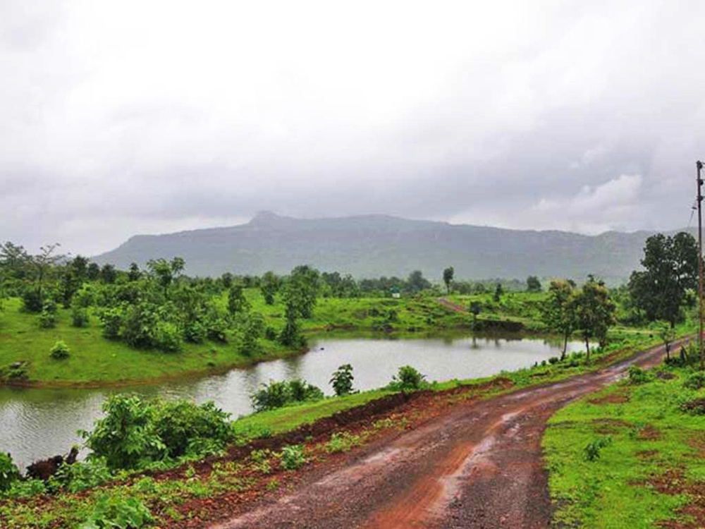  elegant elanza Others