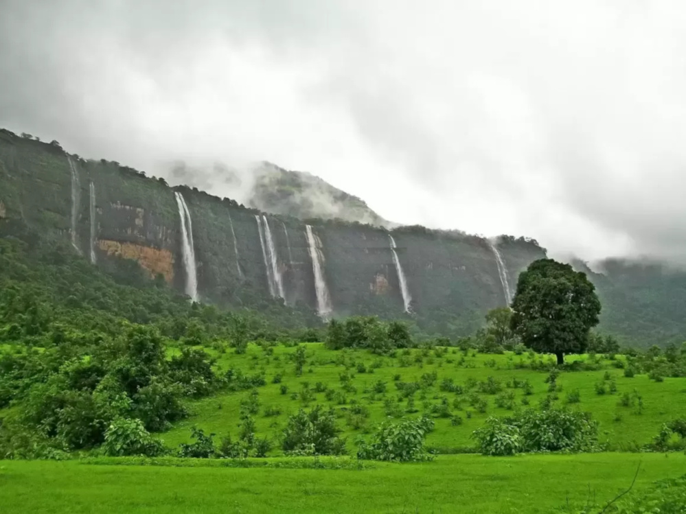  elegant enigma Others