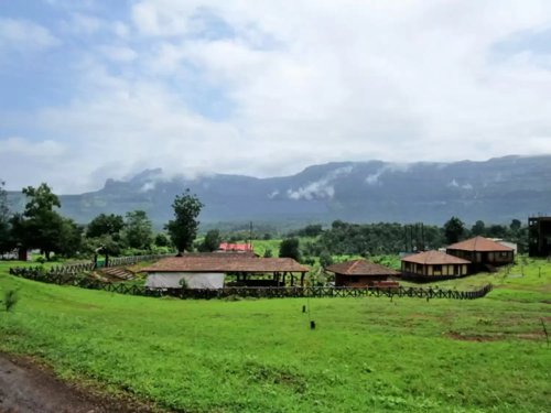  elegant-emerald Landscaped Gardens