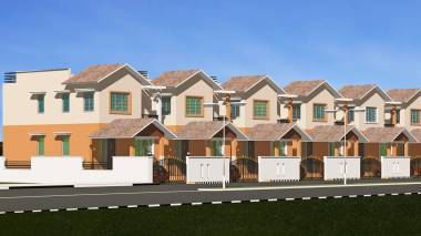 dummy-Kodai Estates Kodai Pears Tree dummy-Kodai Estates Kodai Pears Tree