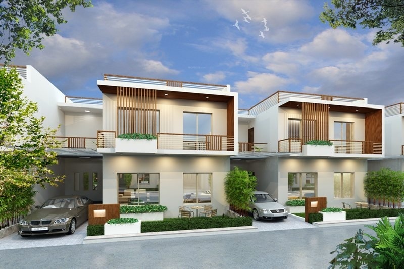  rhea bird of paradise Elevation