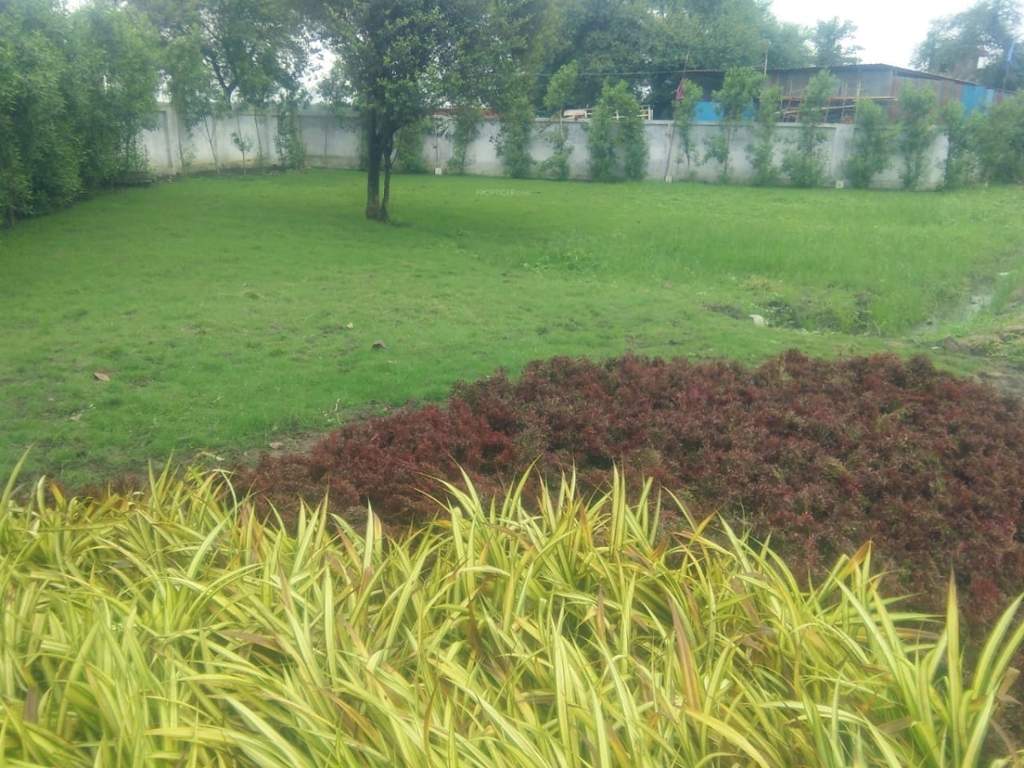  soumya marvella Landscape Garden and Tree Planting