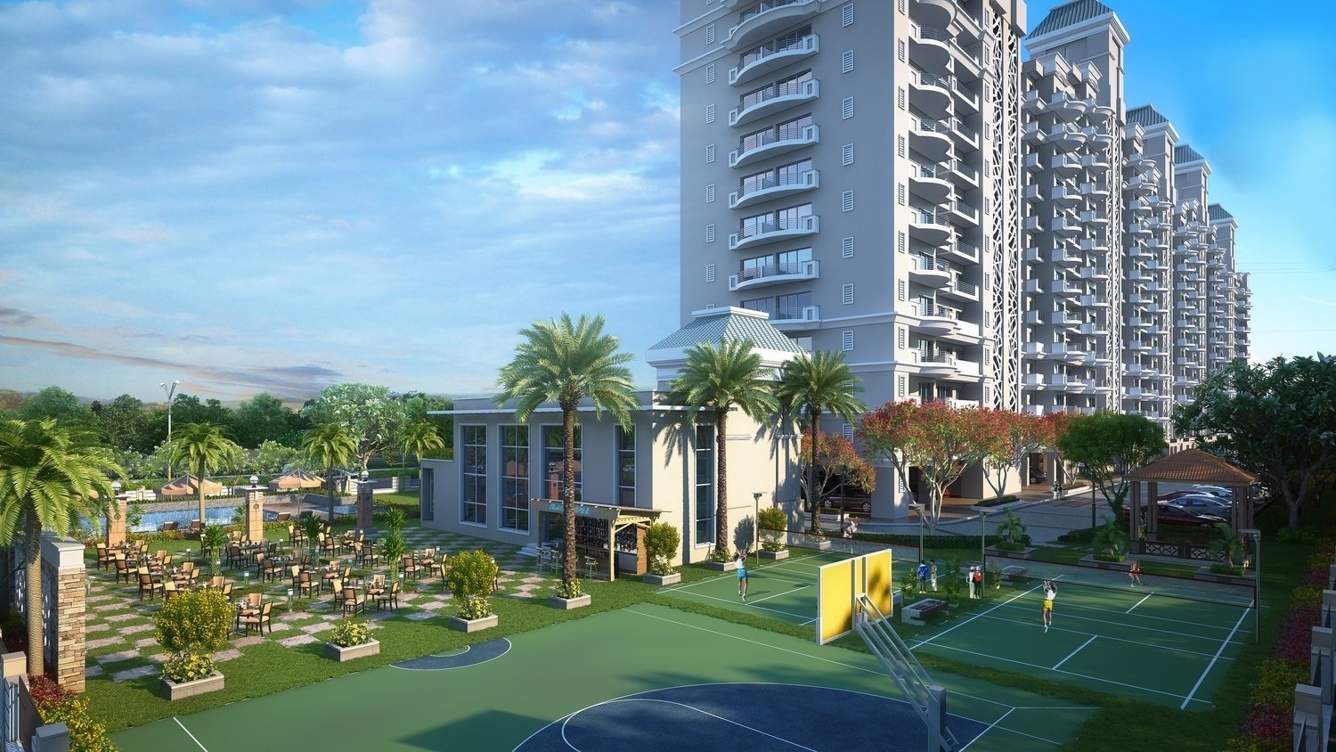  heights Basketball Court