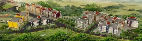  disha-direct-cidade-vida Elevation