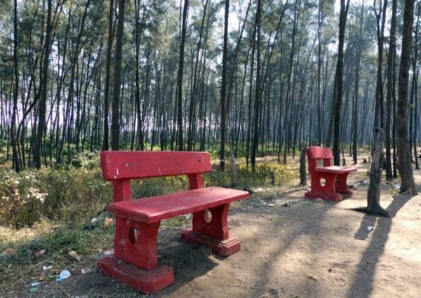  disha-direct-cidade-vida Others