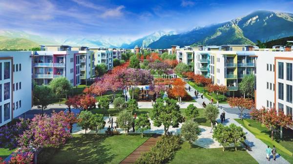 dummy-Supertech Aadri