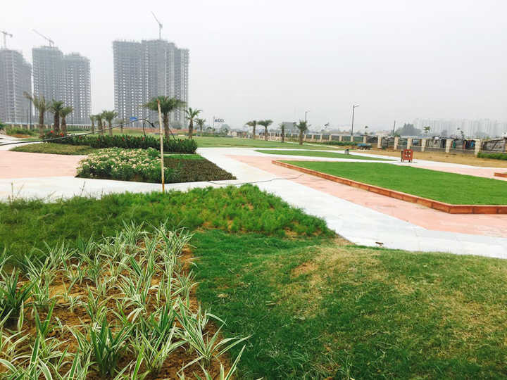 supertech aadri Others