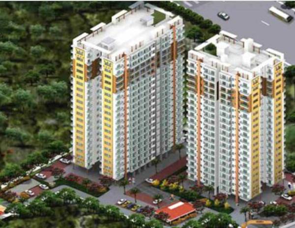  confident-pride-iii Elevation