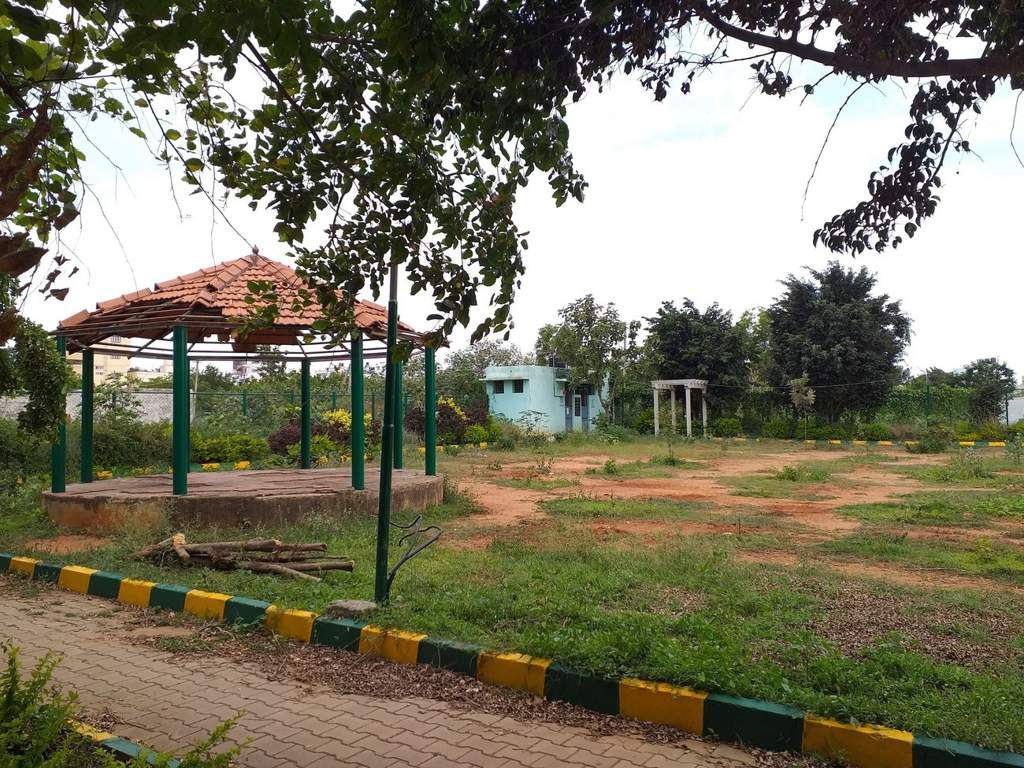 DS Max DS Max Silhoutte