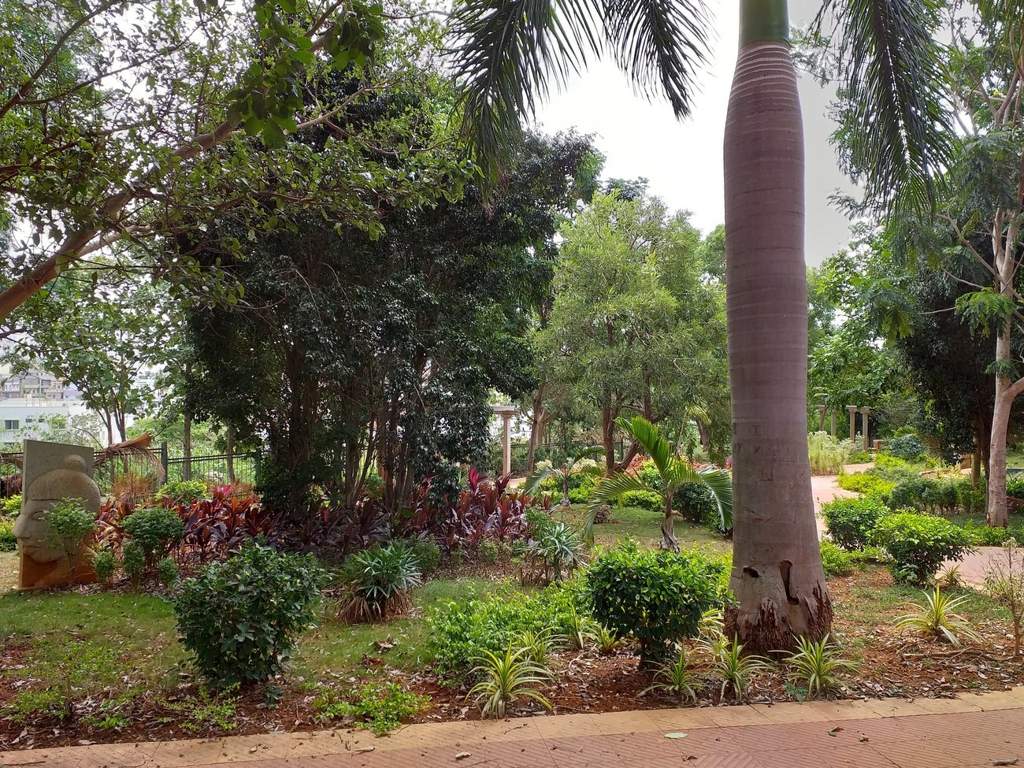 DS Max DS Max Silhoutte