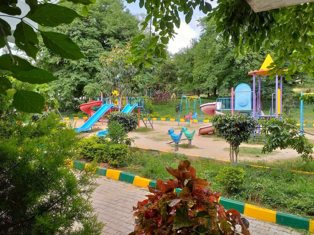 DS Max DS Max Silhoutte