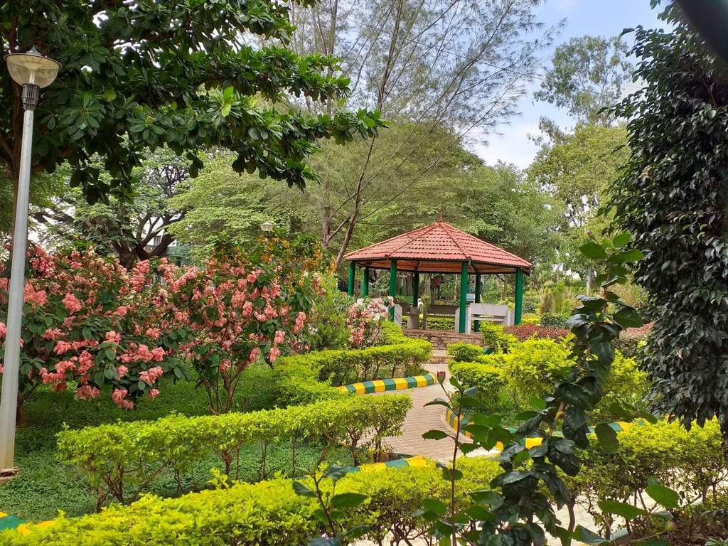 DS Max DS Max Silhoutte