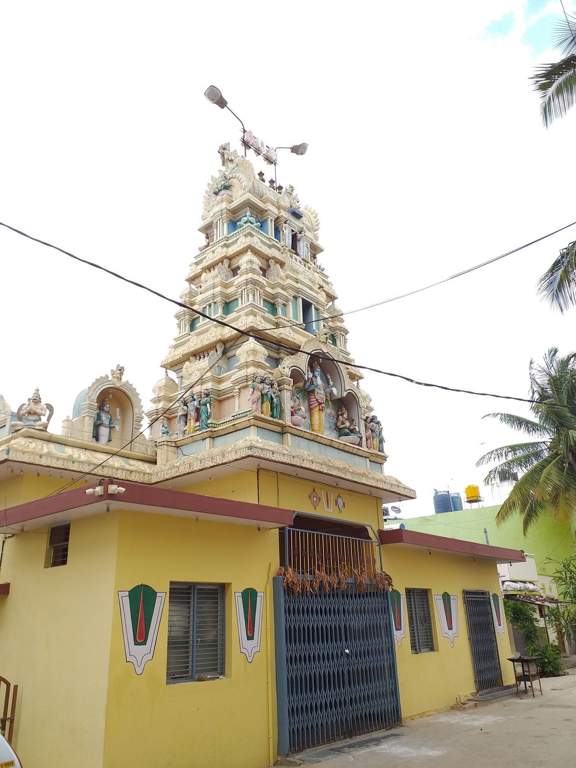 DS Max DS Max Silhoutte