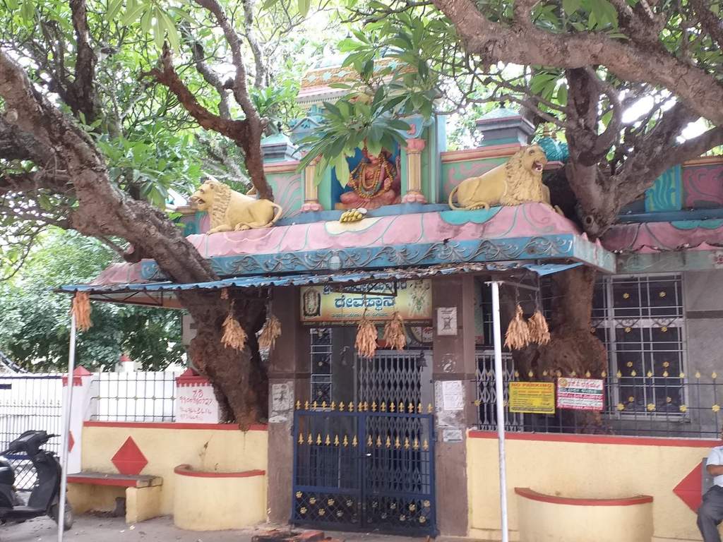 DS Max DS Max Silhoutte