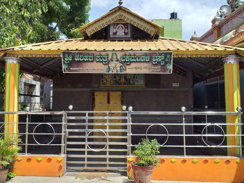 DS Max DS Max Silhoutte