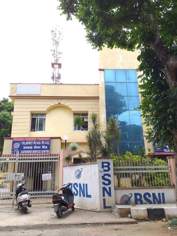 DS Max DS Max Silhoutte