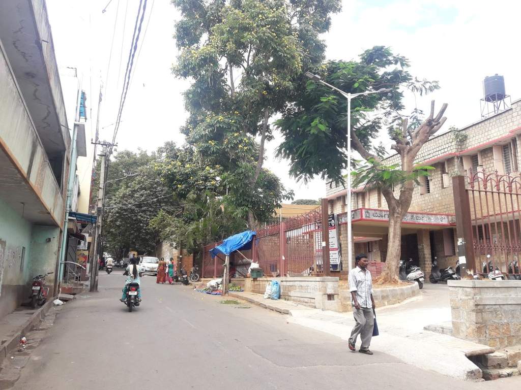 Maxworth Maxworth Max Magadi