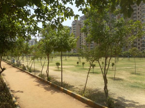 mainOther of Bricks and Dreams Bricks and Dreams RG Residency