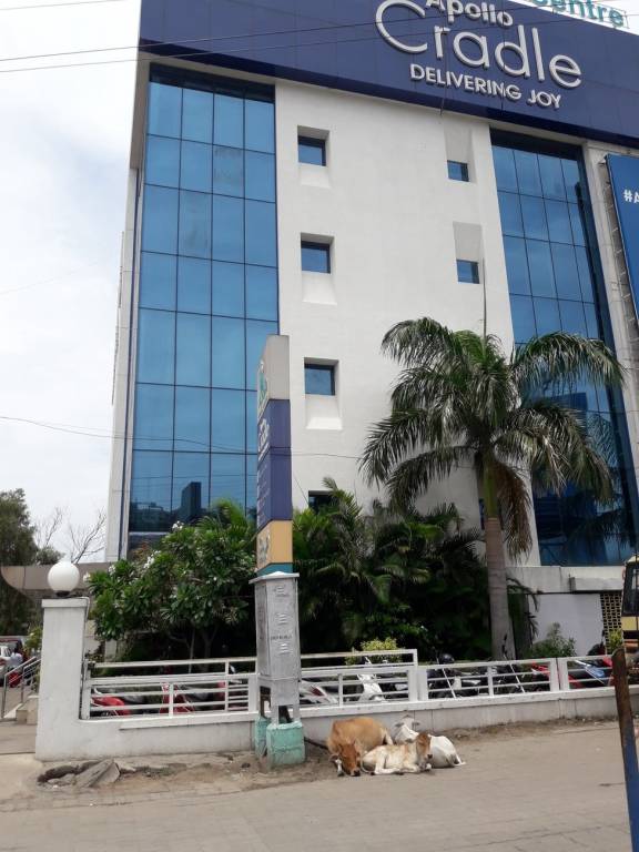 RG Housing RG Rajashree Meadows