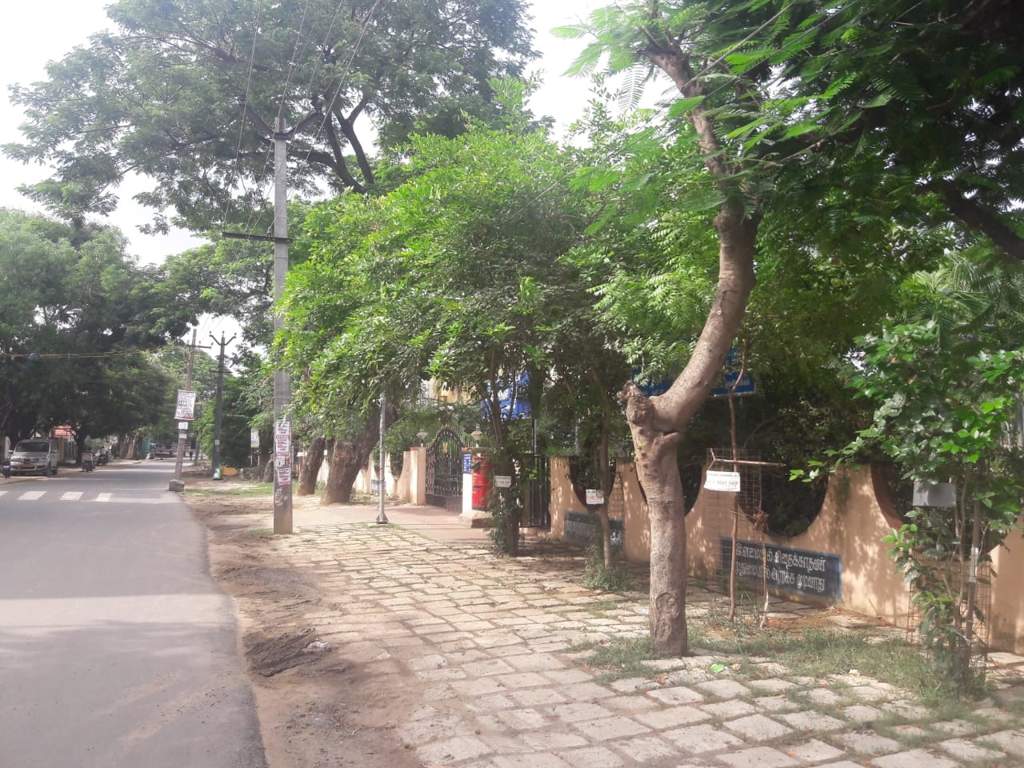 Johitha Johithas Nest