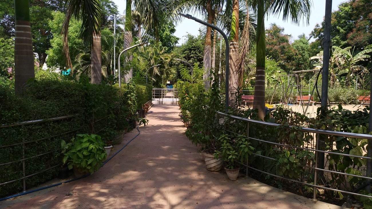 Johitha Johithas Nest