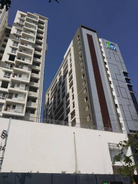 mainOther of Trishala T 19