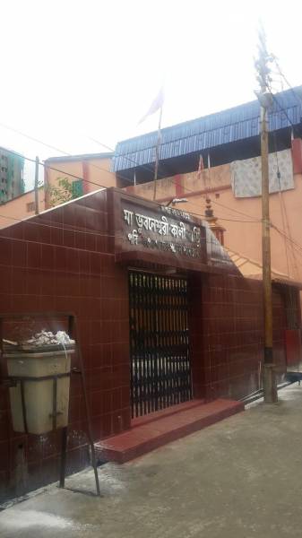 mainOther of Diamond Aurum