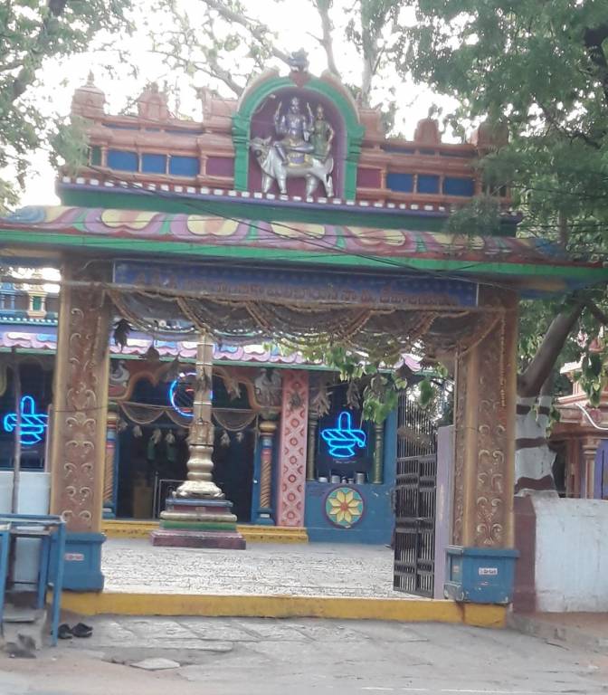 S V S S S V Construction Homes