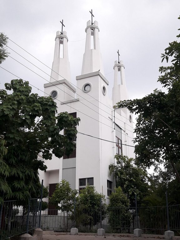 Palm Saha Shelter and Nirman Krishna Daffodils