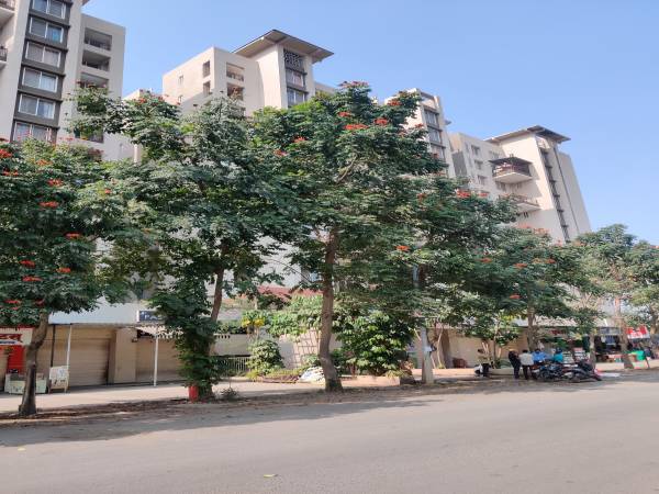  silver-oak-shreyank Elevation