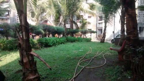  shree-ganesh-residency Landscape Garden and Tree Planting