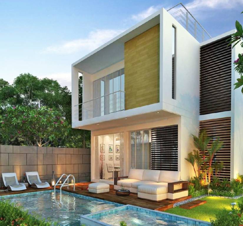 Eden Eden Monte Carlo