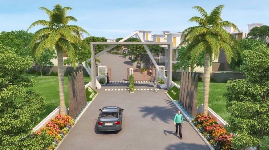 Eden Eden Monte Carlo