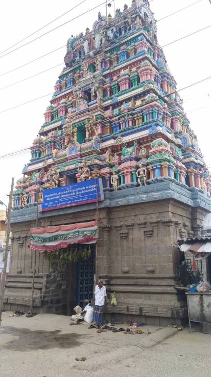 Tirupatiyar Srinivasa Avenue