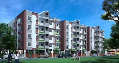 Elevation  man-silver-pearl Elevation