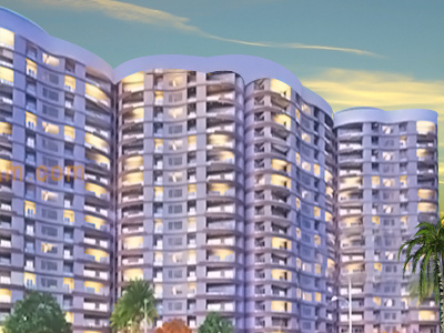 Rise Organic Liftopia