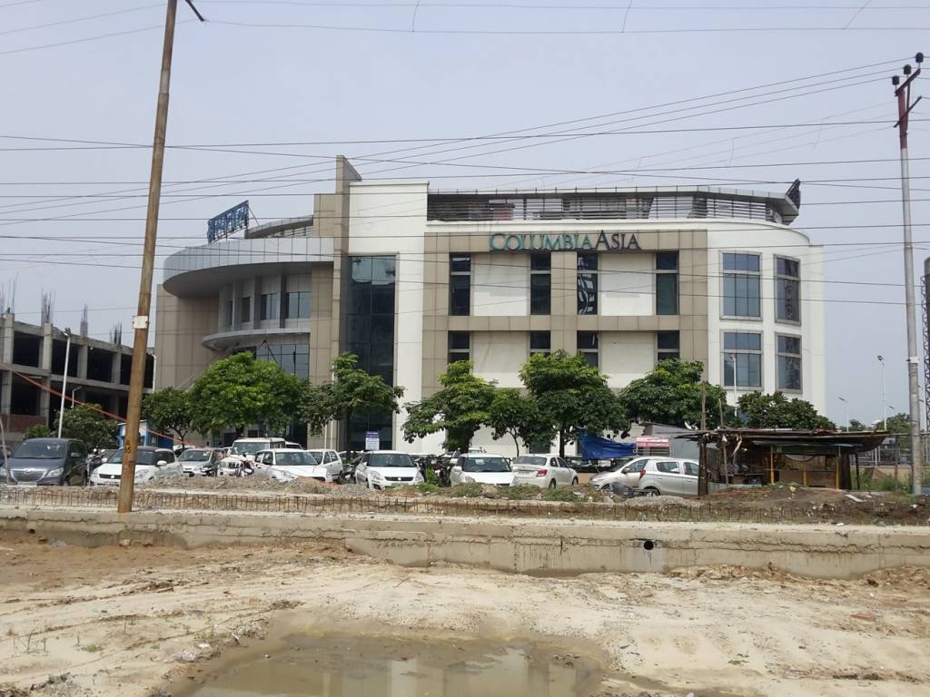 Rise Organic Liftopia