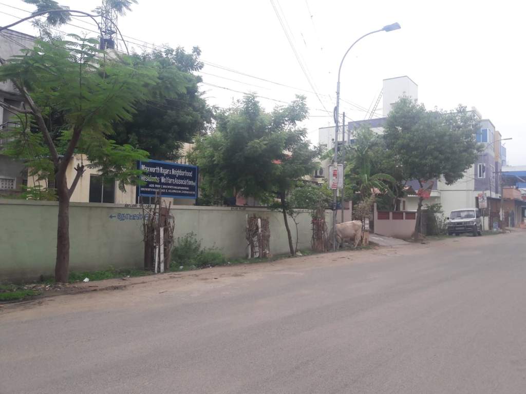 Cubes Housing Milky Cubes