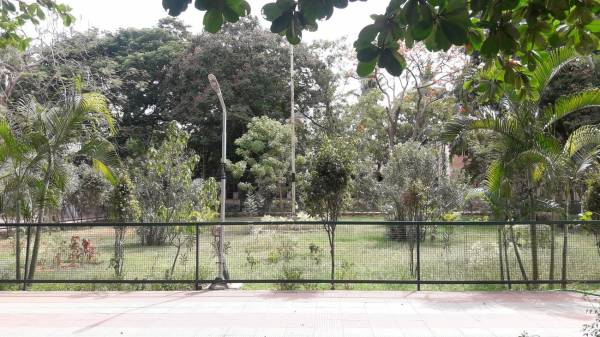 mainOther of Chaitanyar Chaitanyar