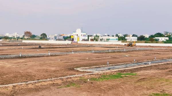 Plot abundancea Plot