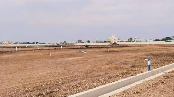 Plot abundancea Plot