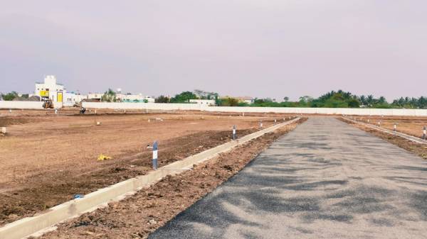 Plot abundancea Plot