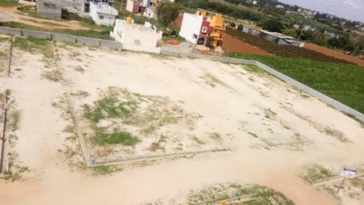 meadows Elevation Elevation