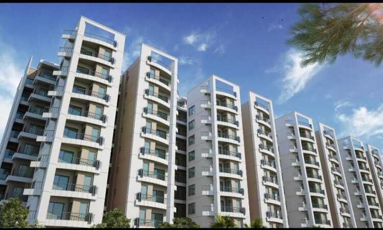  south avenue Elevation